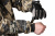 Куртка FINNTRAIL Shooter 6430 CamoBear XXXL